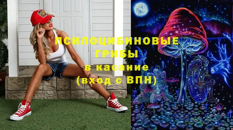 как найти закладки  Кыштым  Галлюциногенные грибы Cubensis 